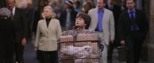 Click to view full size image
==============
PF-Potterish_02723.jpg PF-Potterish_02723.jpg