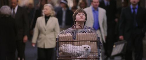 PF-Potterish_02724.jpg