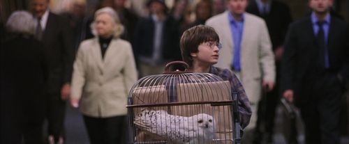 Click to view full size image
==============
PF-Potterish_02725.jpg PF-Potterish_02725.jpg