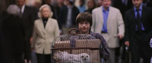PF-Potterish_02726.jpg