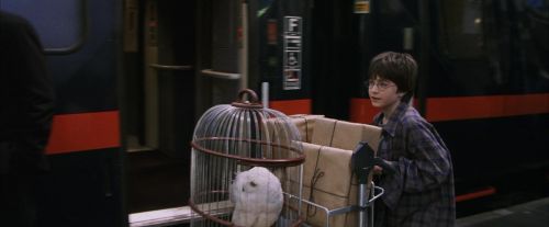 Click to view full size image
==============
PF-Potterish_02738.jpg PF-Potterish_02738.jpg