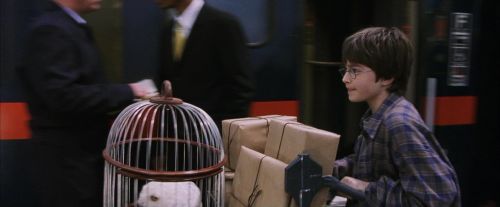 PF-Potterish_02739.jpg