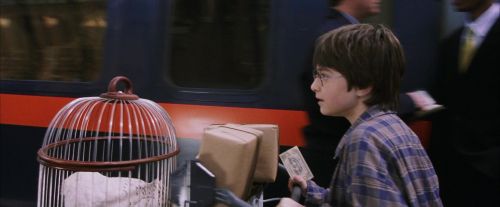 PF-Potterish_02740.jpg
