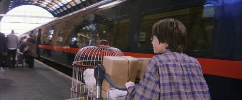 Click to view full size image
==============
PF-Potterish_02743.jpg PF-Potterish_02743.jpg