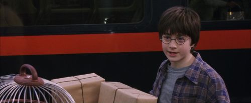 PF-Potterish_02752.jpg