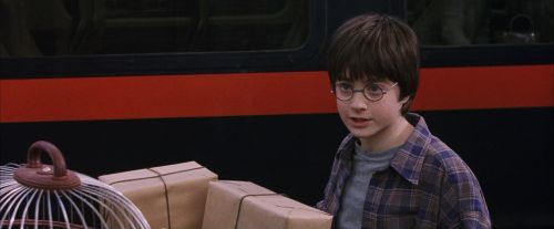 PF-Potterish_02753.jpg