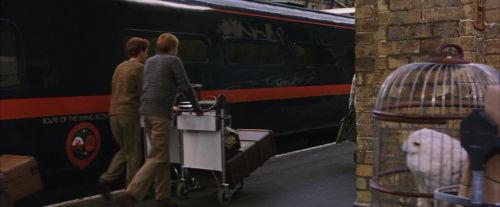 Click to view full size image
==============
PF-Potterish_02767.jpg PF-Potterish_02767.jpg