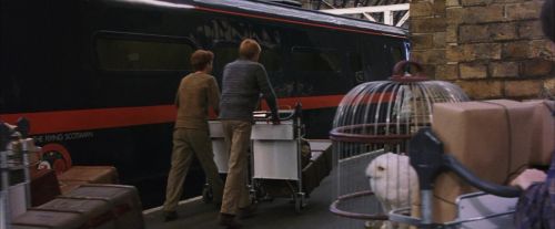PF-Potterish_02768.jpg