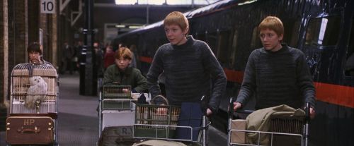 PF-Potterish_02805.jpg