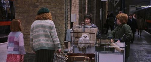 PF-Potterish_02827.jpg