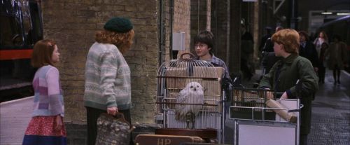 PF-Potterish_02828.jpg