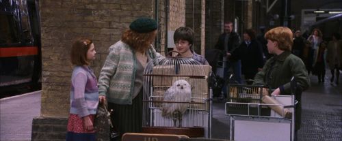 PF-Potterish_02830.jpg