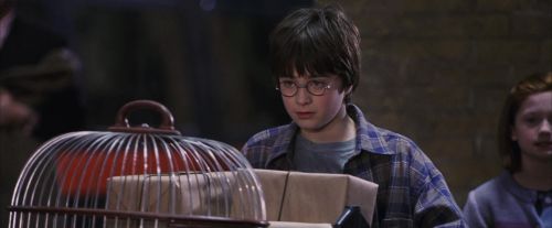 PF-Potterish_02858.jpg