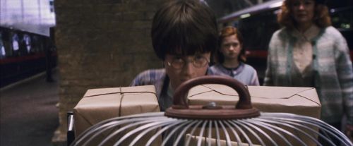 Click to view full size image
==============
PF-Potterish_02867.jpg PF-Potterish_02867.jpg