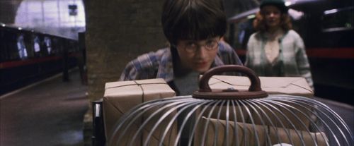 Click to view full size image
==============
PF-Potterish_02868.jpg PF-Potterish_02868.jpg