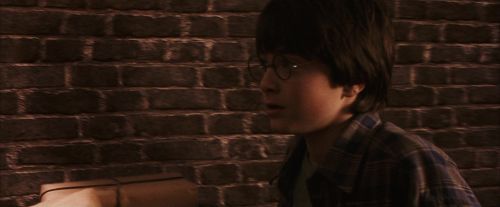 PF-Potterish_02883.jpg