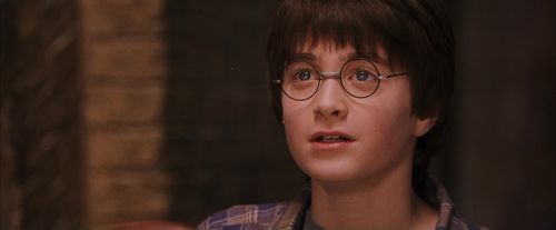 PF-Potterish_02907.jpg