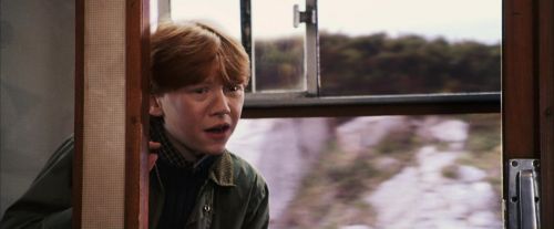 PF-Potterish_02939.jpg