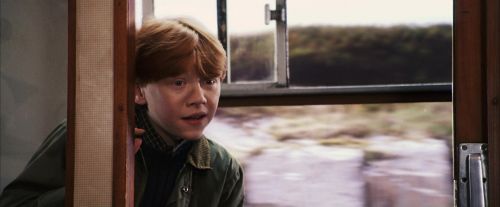 PF-Potterish_02940.jpg