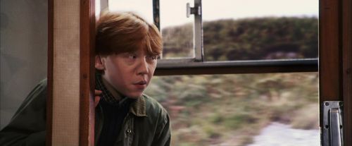 PF-Potterish_02941.jpg