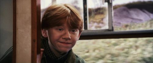 PF-Potterish_02945.jpg