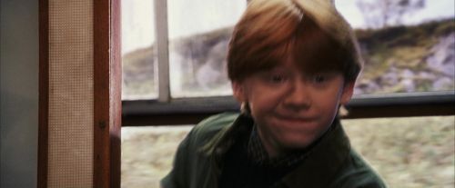 PF-Potterish_02946.jpg
