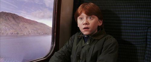 Click to view full size image
==============
PF-Potterish_02957.jpg PF-Potterish_02957.jpg