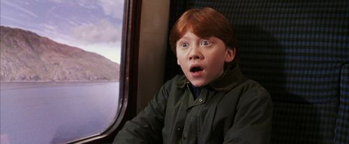 PF-Potterish_02959.jpg