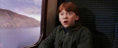 Click to view full size image
==============
PF-Potterish_02960.jpg PF-Potterish_02960.jpg