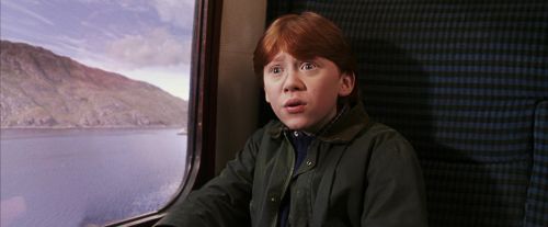 PF-Potterish_02962.jpg