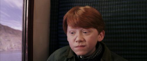 PF-Potterish_02970.jpg