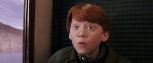 PF-Potterish_02976.jpg