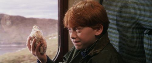 PF-Potterish_02989.jpg
