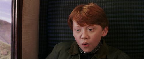 PF-Potterish_03003.jpg