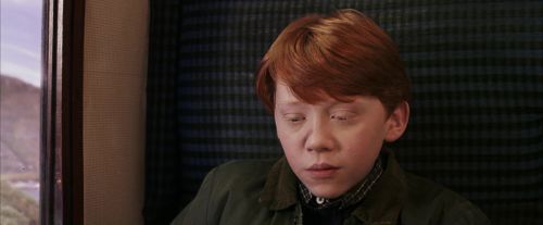 PF-Potterish_03004.jpg