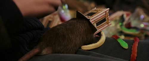 PF-Potterish_03014.jpg