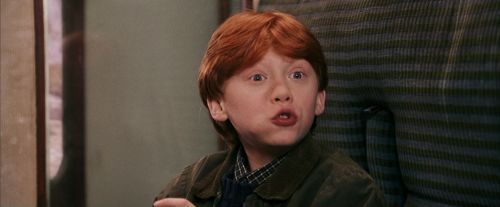 PF-Potterish_03033.jpg