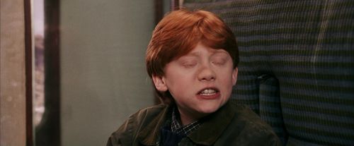 PF-Potterish_03034.jpg