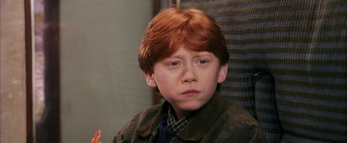 PF-Potterish_03040.jpg