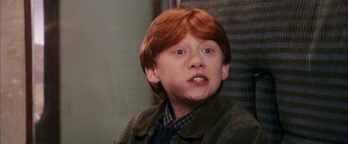 PF-Potterish_03050.jpg