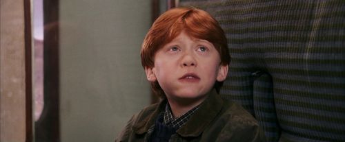 Click to view full size image
==============
PF-Potterish_03054.jpg PF-Potterish_03054.jpg