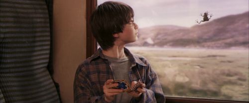PF-Potterish_03062.jpg