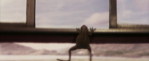 Click to view full size image
==============
PF-Potterish_03066.jpg PF-Potterish_03066.jpg
