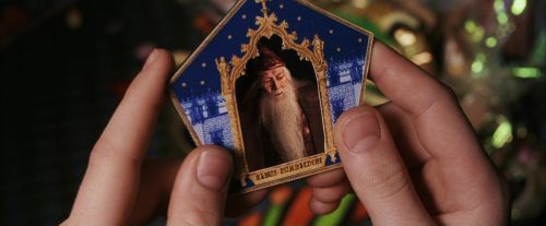 PF-Potterish_03078.jpg