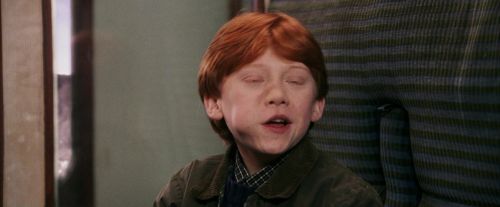 PF-Potterish_03081.jpg