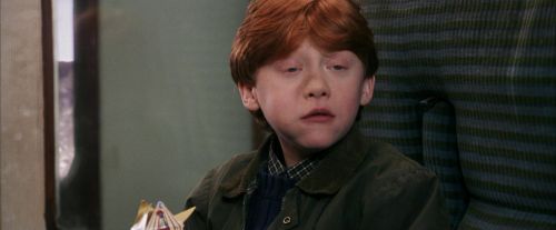 PF-Potterish_03091.jpg