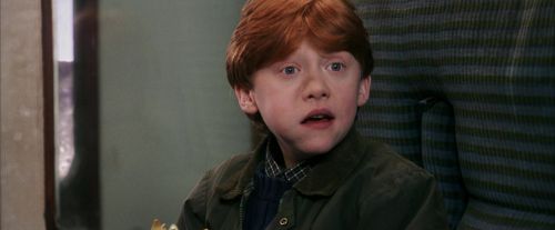 PF-Potterish_03092.jpg