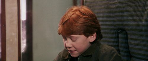 PF-Potterish_03098.jpg