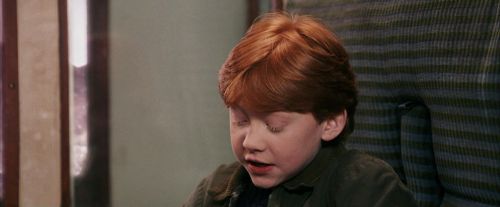 PF-Potterish_03099.jpg