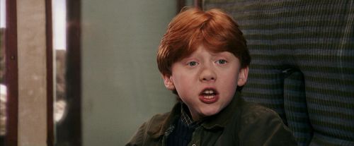 PF-Potterish_03104.jpg
